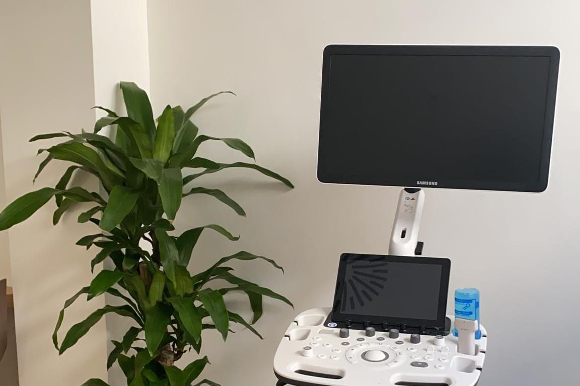 Pantalla y consola del ecógrafo de Ofisio junto a una planta